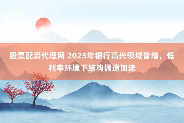股票配资代理网 2025年银行高兴领域普增，低利率环境下结构调遣加速